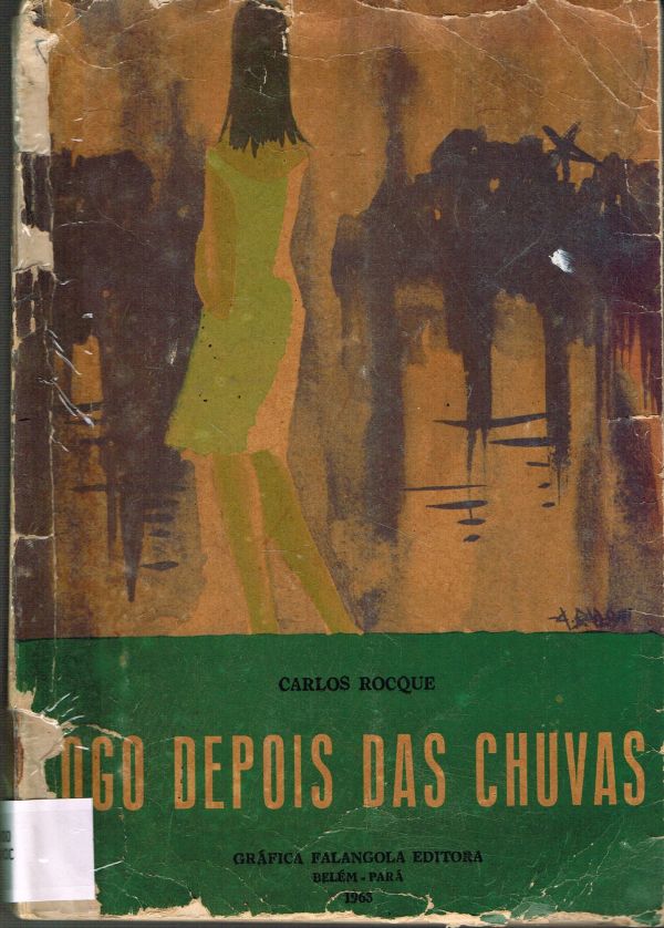 Logo Depois das Chuvas - 800 ROC
